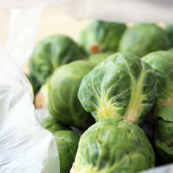 Roasted Brussel Sprouts