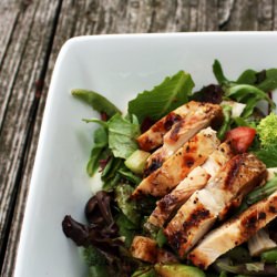 Grilled Chicken Salad