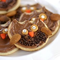 Owl Sugar Cookies