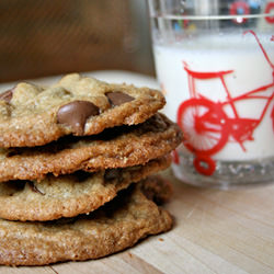 Crispy Chewy Chocolate Chip Cookie