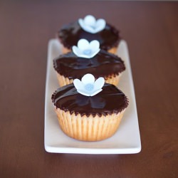 Vanilla Bean Cupcakes