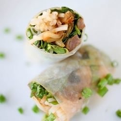 Kalbi Spring Rolls