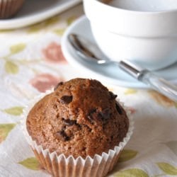 Chocolate Chocolate-Chip Muffins