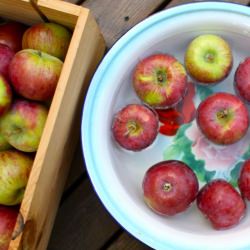 Classic Homemade Applesauce