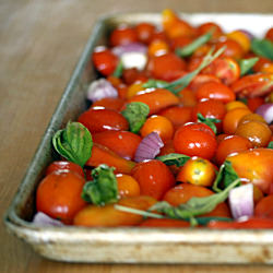 Roasted Tomato Soup