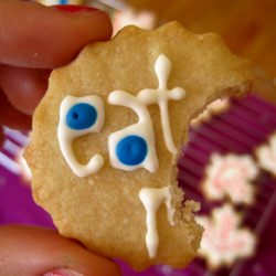 Sugar Cookies