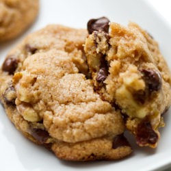 Chocolate Chip Walnut Cookies