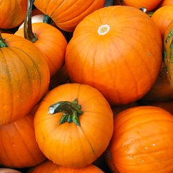 A Fall Giveaway