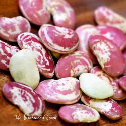 Fresh Lima Beans