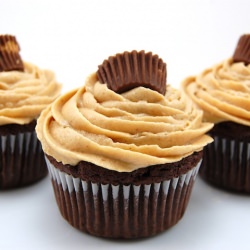 Dark Chocolate Cupcakes with Peanut