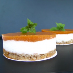 Plum Jelly and Yoghurt Mousse Cake
