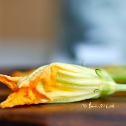 Squash Blossoms