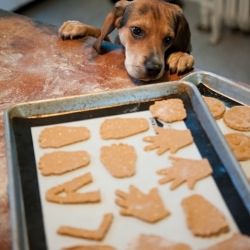 Peanut Butter & Pumpkin Dog Treats
