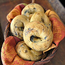 Blueberry Bagels