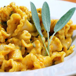 Pumpkin Pasta