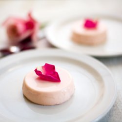 Rose Panna Cotta