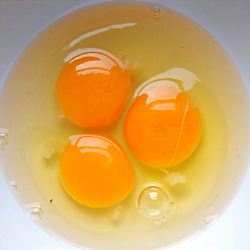 My Hens’ First Eggs