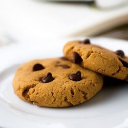 GF Pumpkin Chocolate Chip Cookies