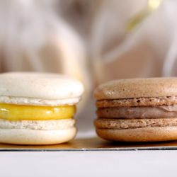 Lemon and Milo Macarons