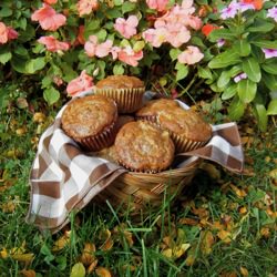 Apple Banana Nut Muffins