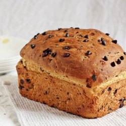 Yeasted Zucchini Bread