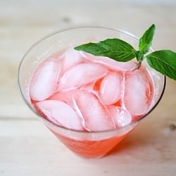 Rhubarb Gin & Tonic