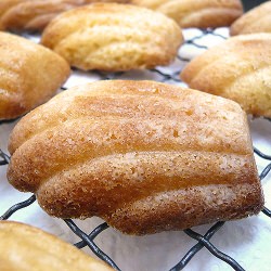 Butterscotch Madeleines