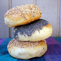 Sourdough Bagels