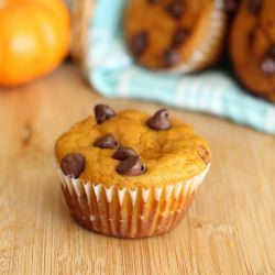Chocolate Chip Pumpkin Muffins