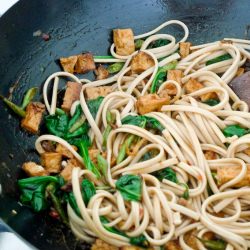 Udon Noodle Stir fry