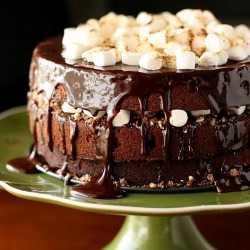 Chocolate-Malt Cake
