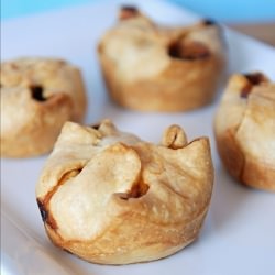 Tomato and Zucchini Hand PIes
