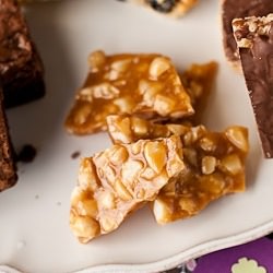 Macadamia Nut Britlle
