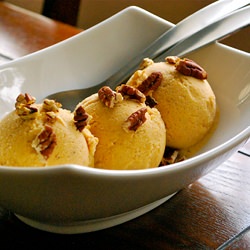 Pumpkin Frozen Yogurt