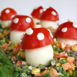 Red Mushroom for the Kids