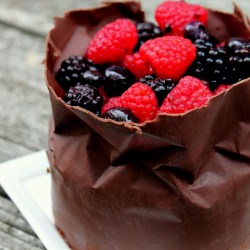 Chocolate Collars