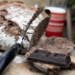 Cocoa No Knead Bread