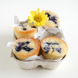 Orange Blueberry Friands