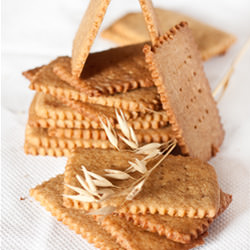 Martha Stewart’s Graham Crackers