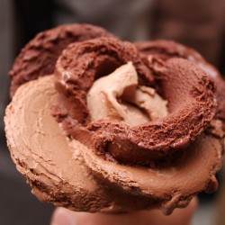 Paris Gelato
