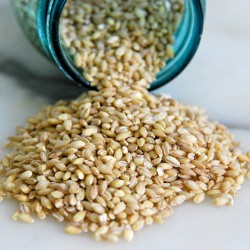 Mushroom Barley Soup