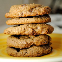Double Chocolate Chip Cookies