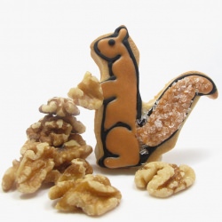 Squirrel Cookie