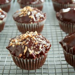 Mound/Almond Joy Cupcakes