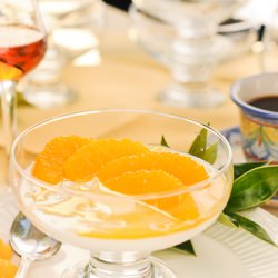 Yogurt Panna Cotta