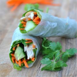 Fresh Vegetable Spring Rolls