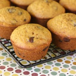 Pumpkin Chocolate Chip Muffins