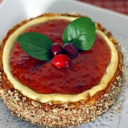 Savory Cranberry Cheesecake
