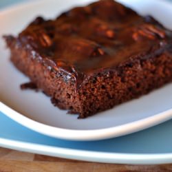 Mississippi Mud Cake