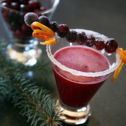Cranberry Margarita